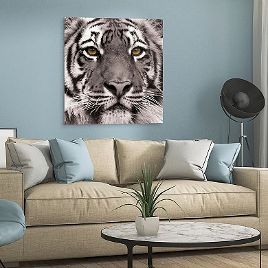 Empire Art Direct Eye of the Tiger Glass Wall Art