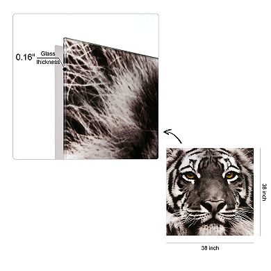 Empire Art Direct Eye of the Tiger Glass Wall Art