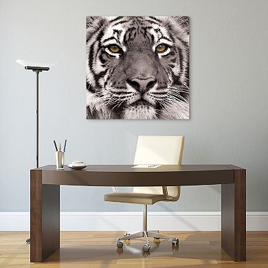 Empire Art Direct Eye of the Tiger Glass Wall Art