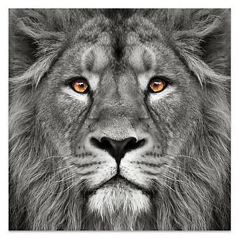 Lion Frameless Free Floating Tempered Glass Panel Graphic Wall Art