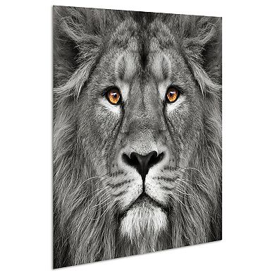 King of the Jungle Lion Frameless Free Floating Tempered Glass Panel Graphic Wall Art