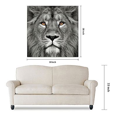 King of the Jungle Lion Frameless Free Floating Tempered Glass Panel Graphic Wall Art