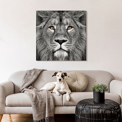 King of the Jungle Lion Frameless Free Floating Tempered Glass Panel Graphic Wall Art
