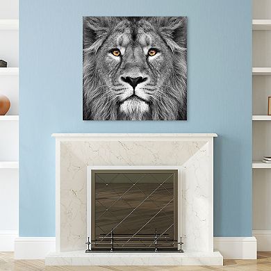 King of the Jungle Lion Frameless Free Floating Tempered Glass Panel Graphic Wall Art