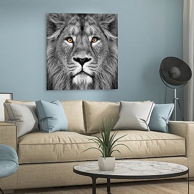 King of the Jungle Lion Frameless Free Floating Tempered Glass Panel Graphic Wall Art