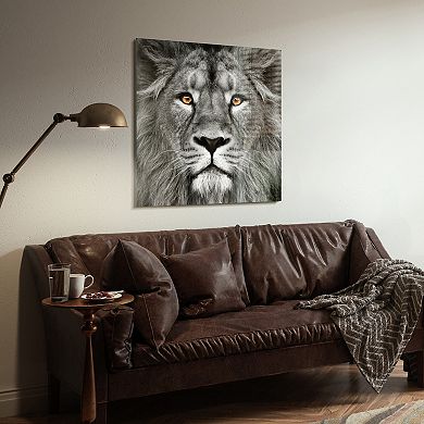 King of the Jungle Lion Frameless Free Floating Tempered Glass Panel Graphic Wall Art