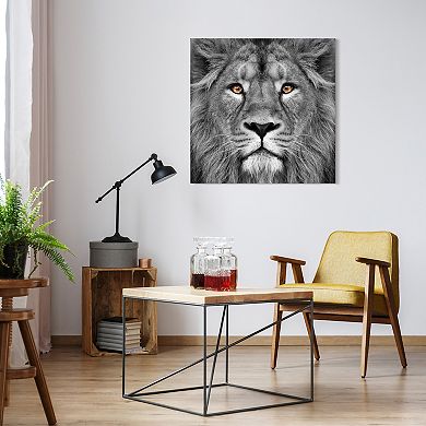 King of the Jungle Lion Frameless Free Floating Tempered Glass Panel Graphic Wall Art