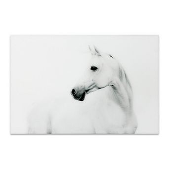 Stallion Horse Frameless Free Floating Tempered Glass Panel Graphic Wall Art