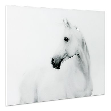 Blanco Stallion Horse Frameless Free Floating Tempered Glass Panel Graphic Wall Art