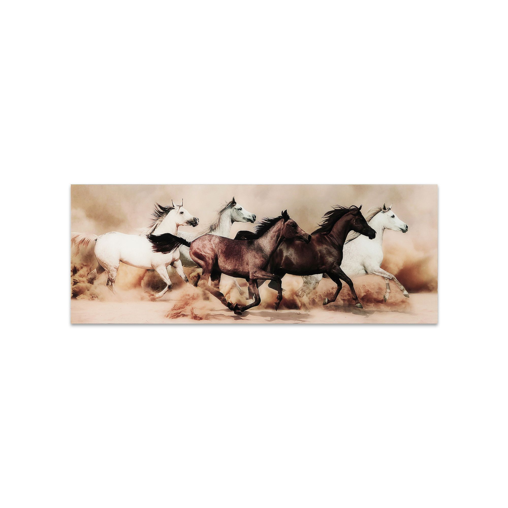 Stampede Frameless Free Floating Tempered Glass Panel Graphic Wall Art, Bro