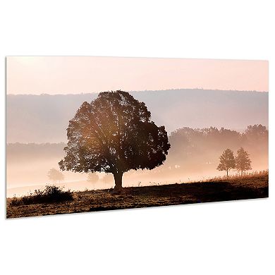 Empire Art Direct Plain View Glass Wall Art