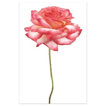 Empire Art Direct Pink Rose White Glass Wall Art