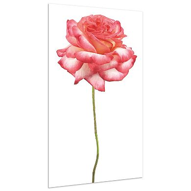 Empire Art Direct Pink Rose White Glass Wall Art