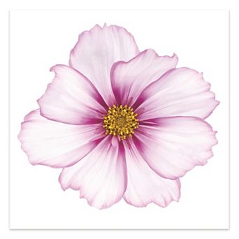 Empire Art Direct Magenta Cosmo Glass Wall Art