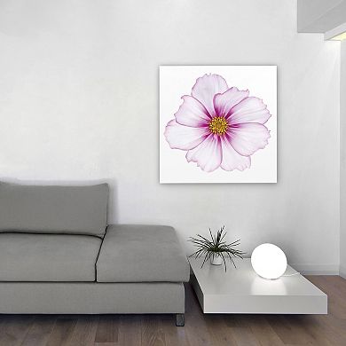 Empire Art Direct Magenta Cosmo Glass Wall Art