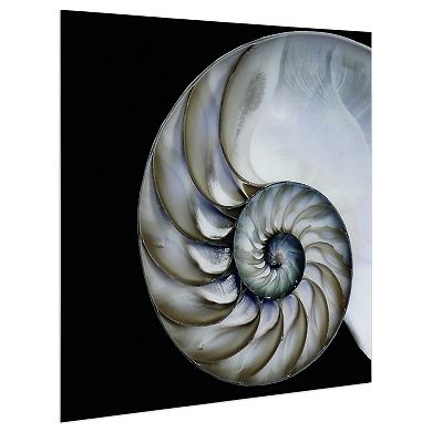 Empire Art Direct Pearly Nautilus Glass Wall Art