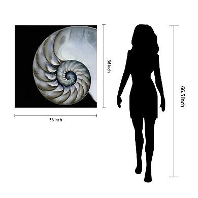 Empire Art Direct Pearly Nautilus Glass Wall Art