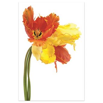 Empire Art Direct Orange Yellow Parrot Tulip Glass Wall Art