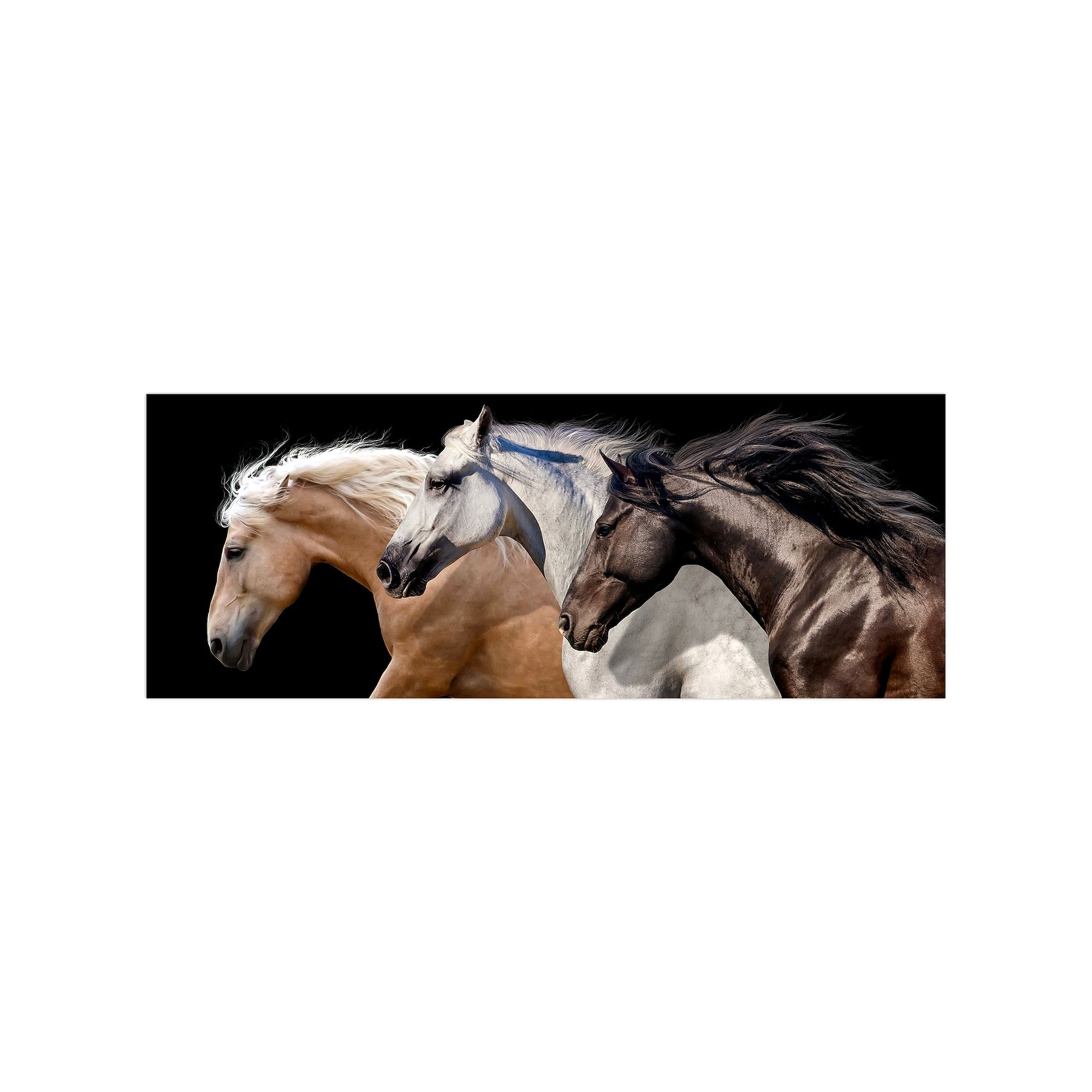 Empire Art Direct Trilogy 2 Horse Glass Wall Art, Multi