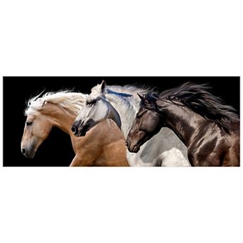 Empire Art Direct Trilogy 2 Horse Glass Wall Art