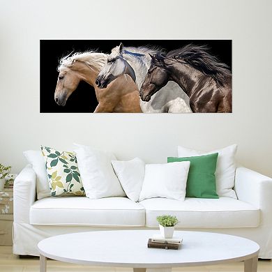 Empire Art Direct Trilogy 2 Horse Glass Wall Art