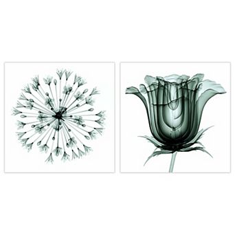 Empire Art Direct African Bluebell & Rose Veil Glass Wall Art 2 pc Set