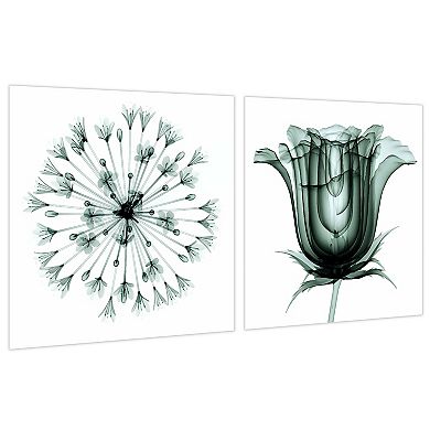 Empire Art Direct African Bluebell & Rose Veil Glass Wall Art 2-piece Set