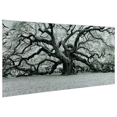 Empire Art Direct Growth Glass Wall Art