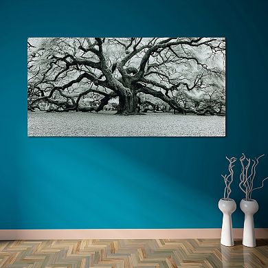 Empire Art Direct Growth Glass Wall Art