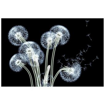 Empire Art Direct Dancing Dandelions Glass Wall Art
