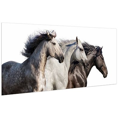 Empire Art Direct Trilogy 1 Horse Glass Wall Art