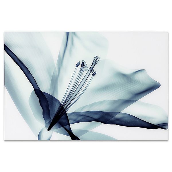 Empire Art Direct Amaryllis Glass Wall Art