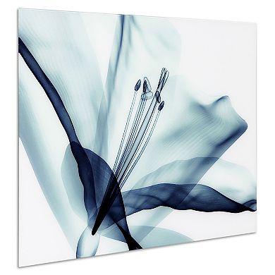 Empire Art Direct Amaryllis Glass Wall Art