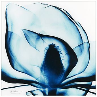 Empire Art Direct Blue Magnolia X-Ray Glass Wall Art