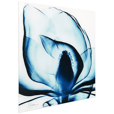 Empire Art Direct Blue Magnolia X-Ray Glass Wall Art