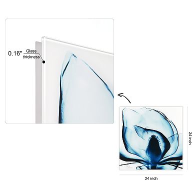 Empire Art Direct Blue Magnolia X-Ray Glass Wall Art