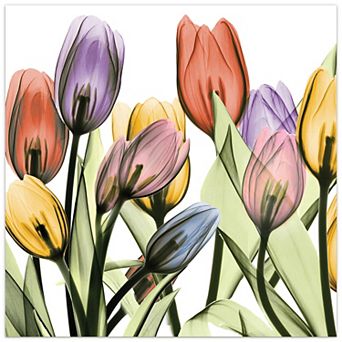 Empire Art Direct Tulip Scape X-Ray I Glass Wall Art