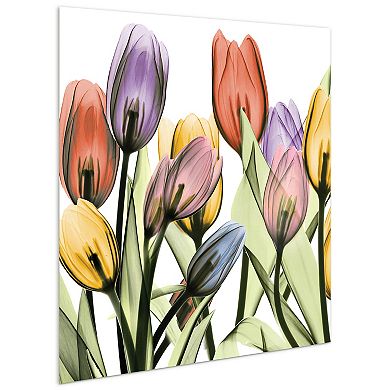 Empire Art Direct Tulip Scape X-Ray I Glass Wall Art