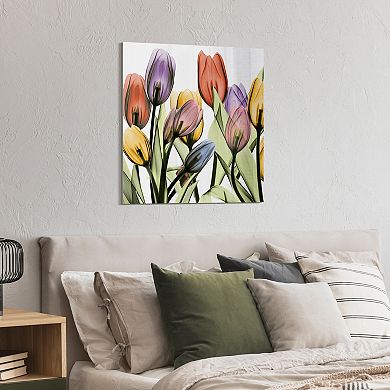 Empire Art Direct Tulip Scape X-Ray I Glass Wall Art