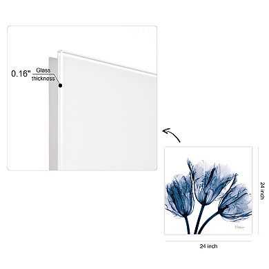 Empire Art Direct Blue Tulip X-Ray Glass Wall Art