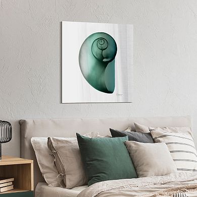 Empire Art Direct Shimmering Snail II Glass Wall Art