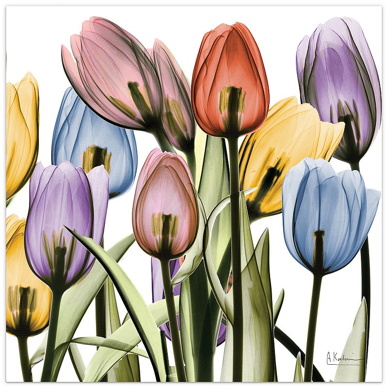 Empire Art Direct Tulip Scape x-ray Ii Frameless Free Floating Tempered Glass Panel Graphic Wall Art, 24" x 24" x 0.2"