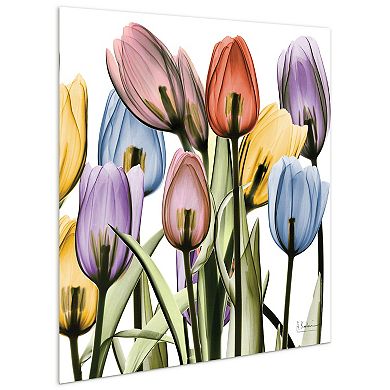 Empire Art Direct Tulip X-Ray Glass Wall Art
