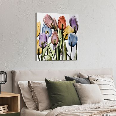 Empire Art Direct Tulip X-Ray Glass Wall Art