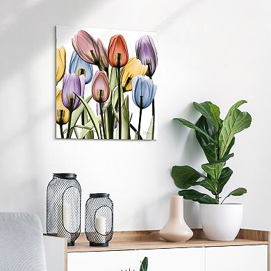 Empire Art Direct Tulip X-Ray Glass Wall Art