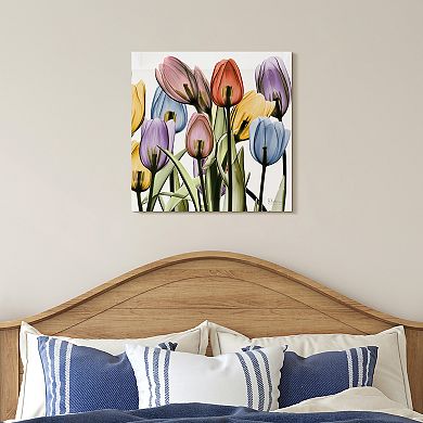 Empire Art Direct Tulip X-Ray Glass Wall Art