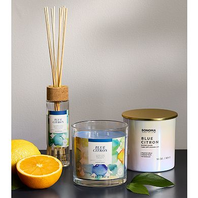 Sonoma Goods For Life Blue Citron Reed Diffuser 9-Piece Set