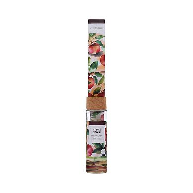 Sonoma Goods For Life Apple Spice Reed Diffuser 9-Piece Set