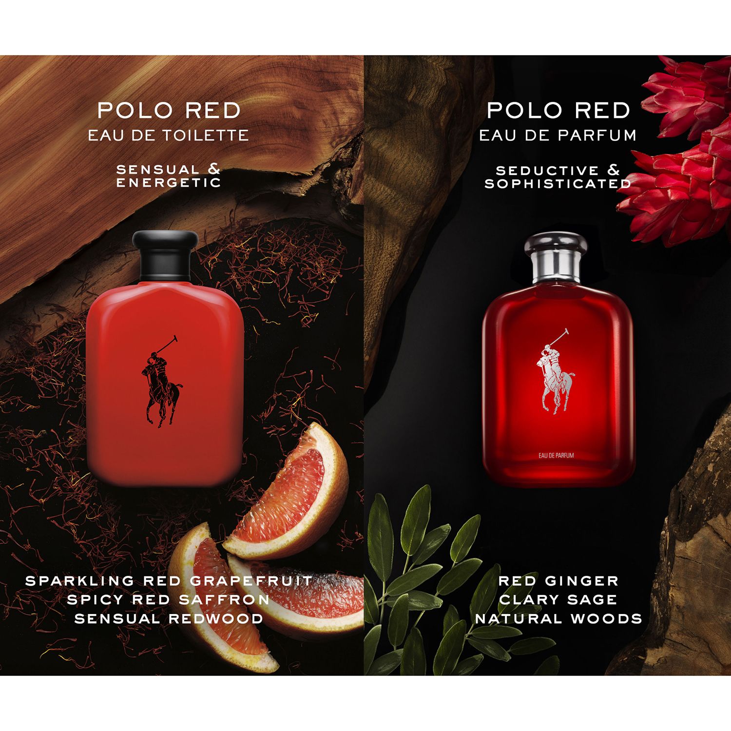 Ralph lauren polo red cologne kohls hotsell