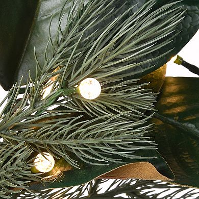 National Tree Company LED Artificial Magnolia Pine Wreath